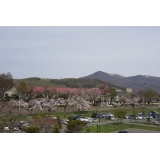 虻田地区：虻田小学校と桜と有珠山